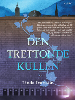 cover image of Den trettonde kullen